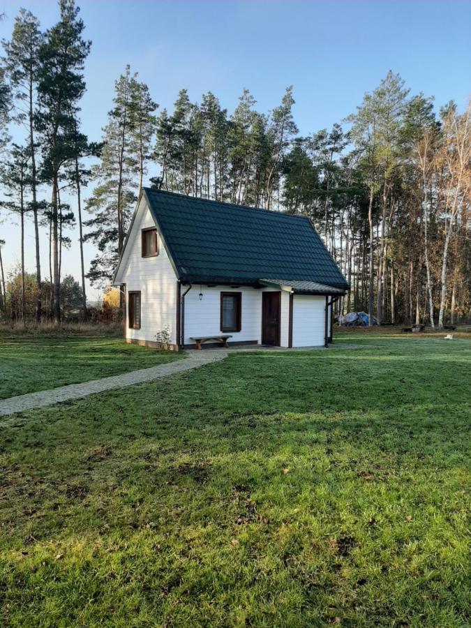 Agroturystyka Zubr Villa Siemianowka Exterior foto