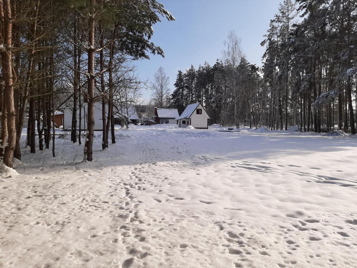 Agroturystyka Zubr Villa Siemianowka Exterior foto